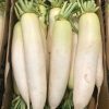 Củ cải trắng organic
