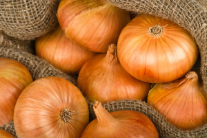 Hành tây organic