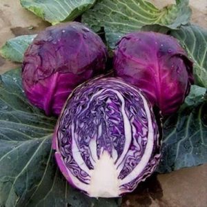Bắp cải tím organic