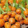 Cà rốt baby organic