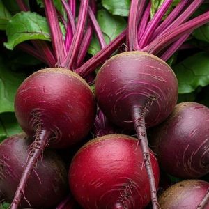 Củ dền organic