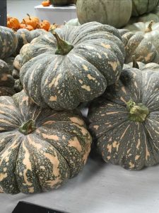 Bí đỏ organic