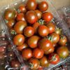Cà chua bi organic